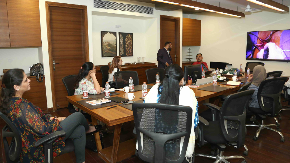 Masterclass in Cosmetic Gynaecology